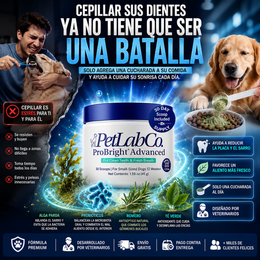 PetLab Co® Advanced™– Suplemento Dental Premium para Perros, Reduce el Sarro, Elimina el Mal Aliento y Promueve Salud Dental